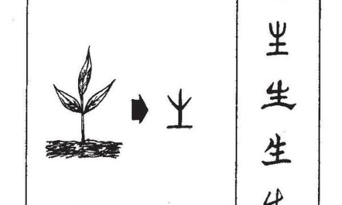 陈香胃片的十大禁忌-四川陈香胃片功效说明书网 | 陈香胃片治疗胃病的效果,陈香胃片的功能主治